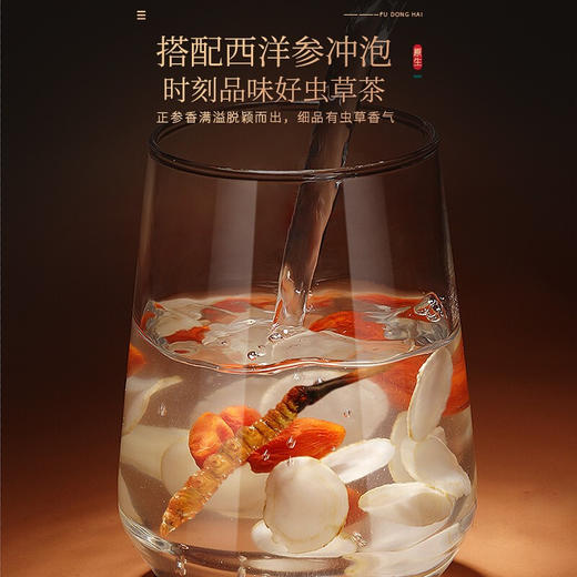 福东海 虫 草10克品质整条( 3-4条/g)甄选高海拔冻干虫 草 高洁净无断草无空心滋补送礼礼盒 商品图3