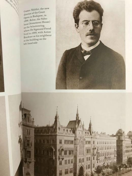 弗雷德里克·莫顿《紧张的华丽：维也纳1888-1889》 数十幅插图 精装16开带书匣 商品图4