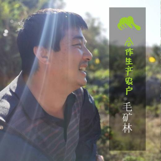 生态沃柑 | 合作生产 * Ecological Orah | Coproduction 商品图2