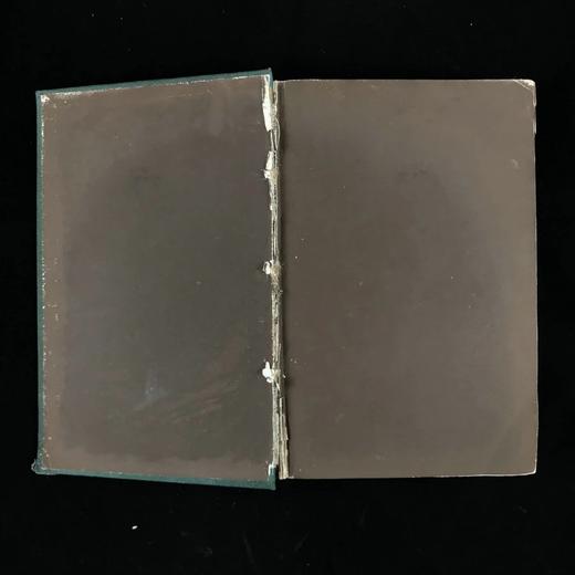 约19世纪后期 弥尔顿与杨格诗集 约6幅插图 漆布精装18开 商品图2