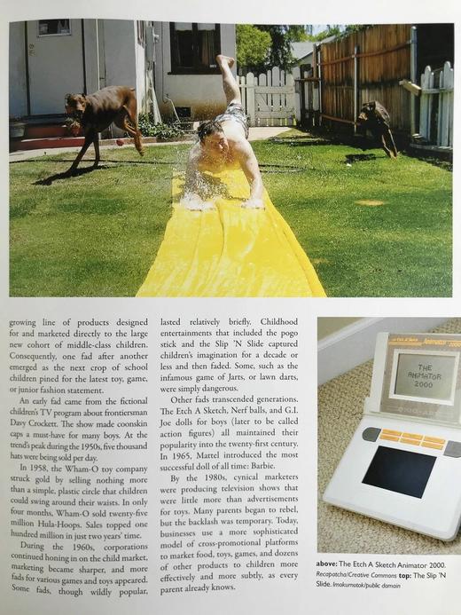 二十世纪的一百个时刻：美国视觉史 数百幅插图 精装16开 商品图7