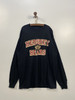 Y2K Vintage Champion 冠军 HERSHEY BEARS 长袖T恤 _SLT(XL) 商品缩略图1