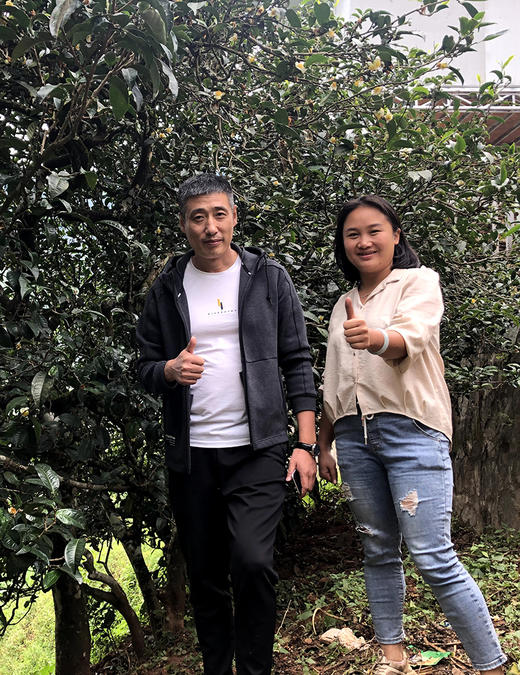 【库存不多】内部老茶友专供【冰岛老寨古树单株】2021年头春头采；总茶师宣哥联合冰岛老寨10号茶农:孔琪共同出品；200克/饼 【每个ID限购3份】 商品图1