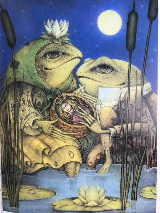 哈钦森童话故事宝库 数百幅彩色插图 精装16开 商品图9