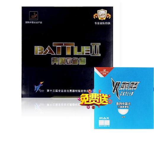 友谊729省队奔腾2金版专业粘性套胶反胶内能免灌胶 商品图0