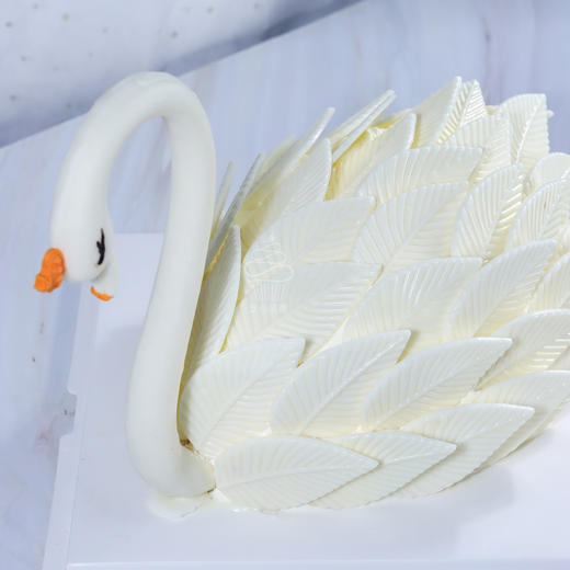 挚爱天鹅 商品图1