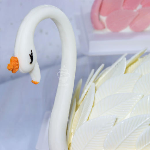 挚爱天鹅 商品图3