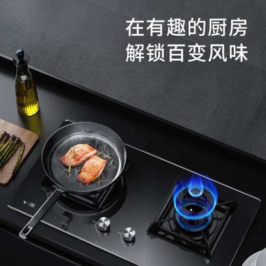 华帝（VATTI） 燃气灶天然气 双灶具 台式灶台式嵌入式 4.2KW猛火家用 钢化玻璃B8204B（液化气） 商品图1