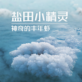 南古馆 盐田里的小精灵—丰年虾