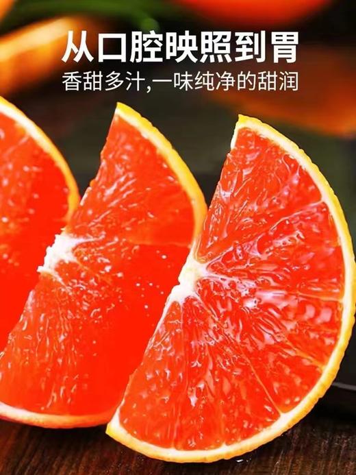 中华红橙 | 水果 商品图1