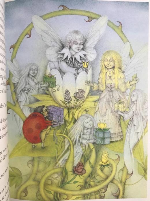 哈钦森童话故事宝库 数百幅彩色插图 精装16开 商品图7