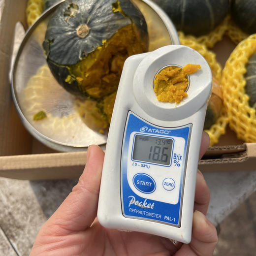 贝贝板栗南瓜 商品图3