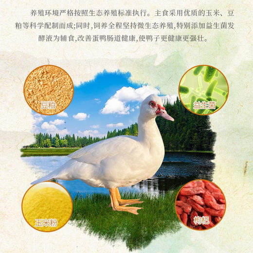 农家老番鸭 商品图3