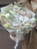 蝴蝶兰花束典雅 商品缩略图5