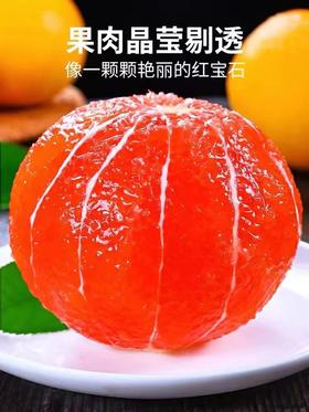 中华红橙 | 水果