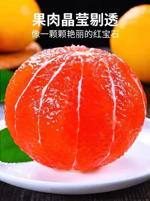 中华红橙 | 水果 商品图0