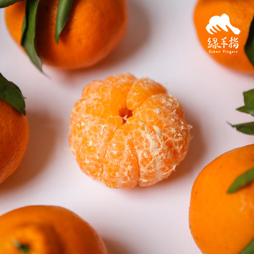 生态丹棱耙耙柑 | 合作生产 *Eco-Danling harrow orange | Partner Production 商品图2