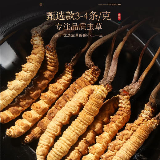福东海 虫 草10克品质整条( 3-4条/g)甄选高海拔冻干虫 草 高洁净无断草无空心滋补送礼礼盒 商品图1