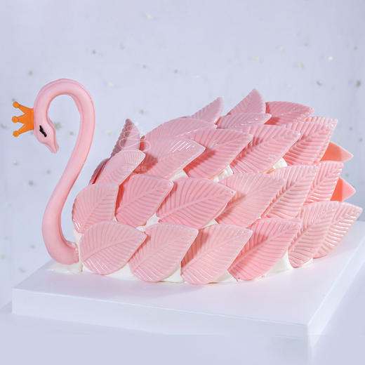 挚爱天鹅 商品图2