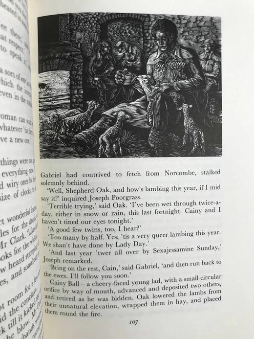 托马斯·哈代《远离尘嚣》（2018） 数十幅木版画插图 精装18开带书匣 商品图12