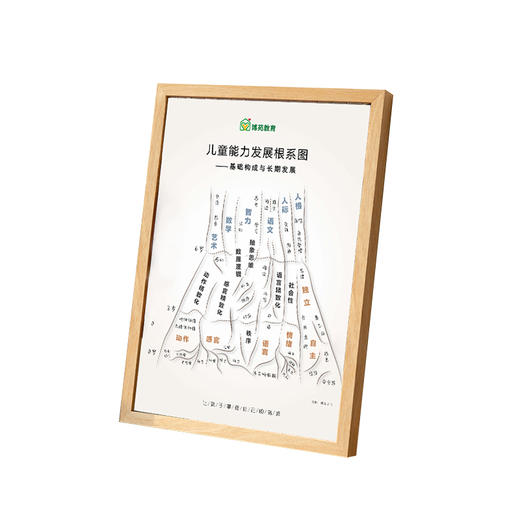 儿童能力发展根系图——基础构成与长期发展 商品图4
