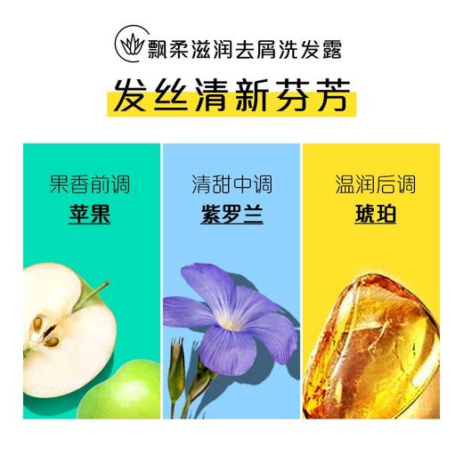 飘柔滋润去屑洗发露400ml 商品图6