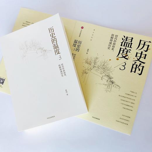 历史的温度 3 时代扑面而来,转瞬即成历史 商品图1