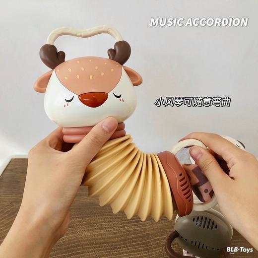 动物音乐手风琴 商品图2