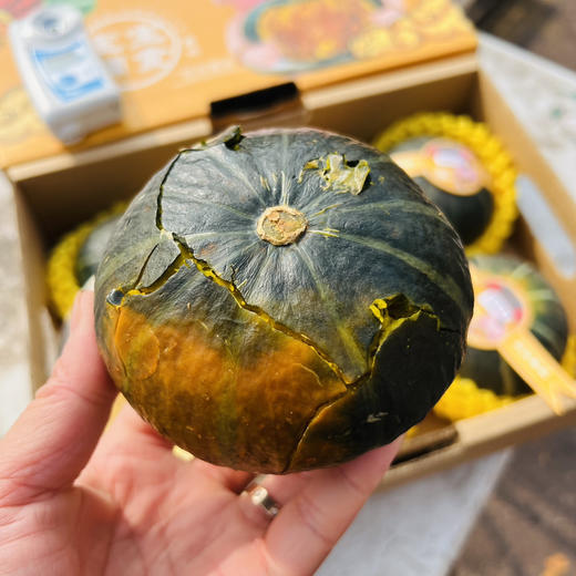 贝贝板栗南瓜 商品图4