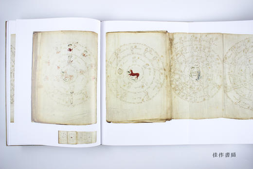 The Voynich Manuscript / 伏尼契手稿  商品图4