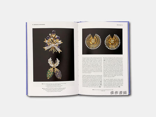 Brooches and Badges (Victoria and Albert Museum) / 胸针与徽章 时尚 珠宝 商品图2