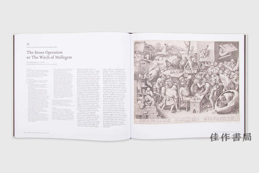 Bruegel: The Complete Graphic Works / 老勃鲁盖尔：完整的图形作品 商品图4