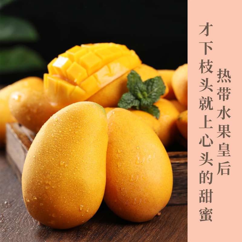 小台农芒果 ——水果中的“小甜心” 台农芒果甜度极高，核小皮薄肉厚，果肉细致无纤维，风味可口、外观讨好，肉质好、入口酥、香味浓、纤维细，是芒果中身价最俊俏的品种。