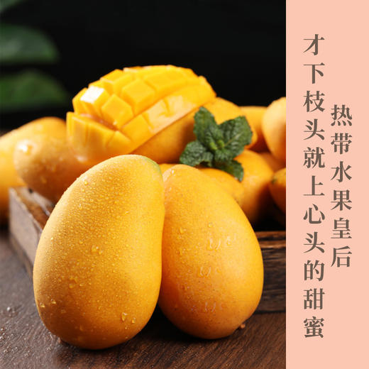 小台农芒果 ——水果中的“小甜心” 台农芒果甜度极高，核小皮薄肉厚，果肉细致无纤维，风味可口、外观讨好，肉质好、入口酥、香味浓、纤维细，是芒果中身价最俊俏的品种。 商品图0