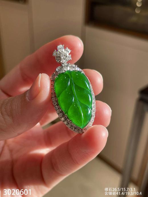 老坑高冰帝王绿叶子吊坠【3020601】具体价格微信咨询 商品图0