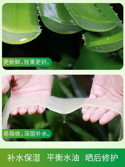 2盒 一叶子 芦荟凝胶 补水保湿修护 商品图6