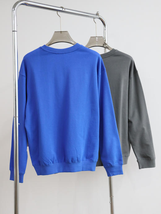 WE1LDONE 廓形情侣圆领卫衣  WY698 商品图5