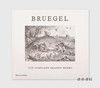 Bruegel: The Complete Graphic Works / 老勃鲁盖尔：完整的图形作品 商品缩略图0