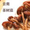 【吉顺号食品】云南特产茶树菇新鲜蘑菇烘干茶树菇200g 商品缩略图1