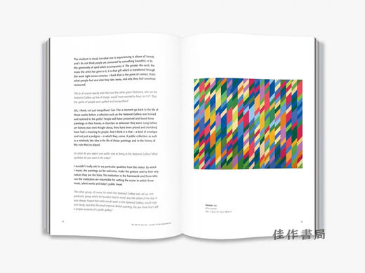 Bridget Riley: Dialogues on Art / 布里奇特·赖利：艺术对话 商品图1