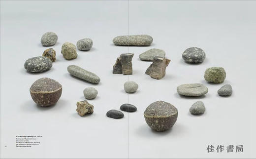 Vija Celmins: To Fix the Image in Memory / 维哈·塞尔敏：修复记忆中的图像 商品图3