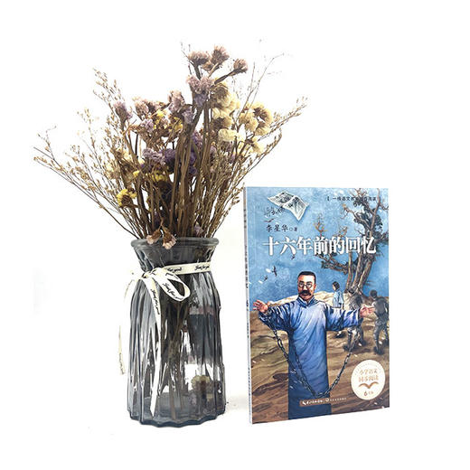 十六年前的回忆 商品图1