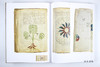 The Voynich Manuscript / 伏尼契手稿  商品缩略图2