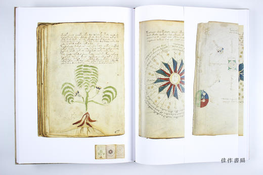 The Voynich Manuscript / 伏尼契手稿  商品图2