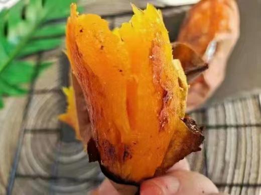 XZG-烟薯25号（中） 5斤+-0.05/份～25元 商品图0