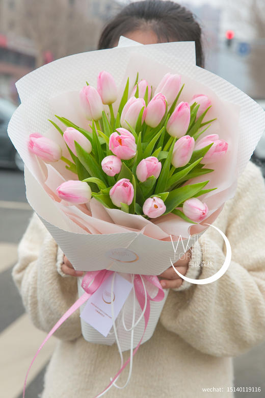 荷兰进口王朝粉郁金香花束 商品图0