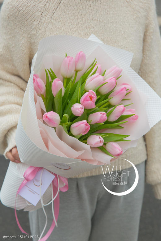 荷兰进口王朝粉郁金香花束 商品图1