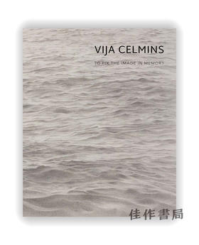 Vija Celmins: To Fix the Image in Memory / 维哈·塞尔敏：修复记忆中的图像