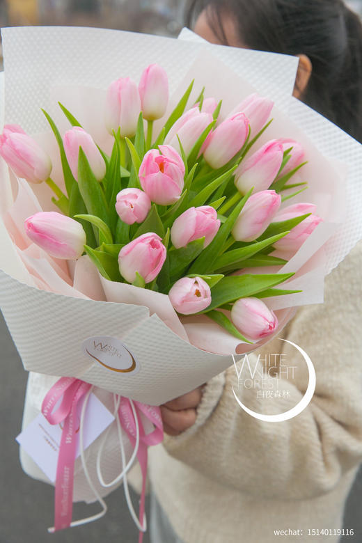 荷兰进口王朝粉郁金香花束 商品图2