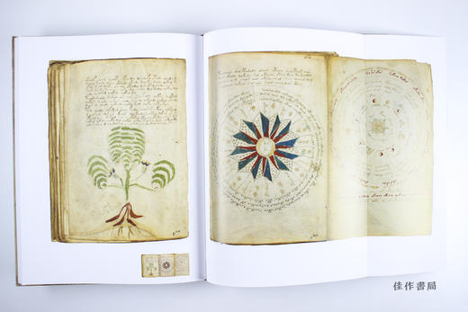 The Voynich Manuscript / 伏尼契手稿  商品图3